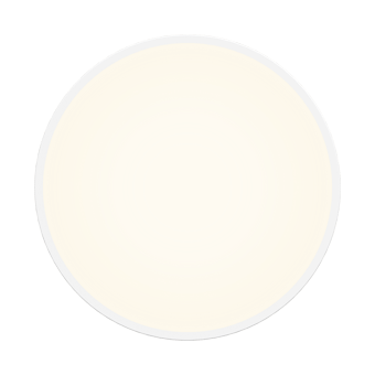 Inteligentna lampa sufitowa LED